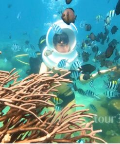 Lặn biển ngắm san hô khi tham gia Tour 3 Đảo VIP Nha Trang