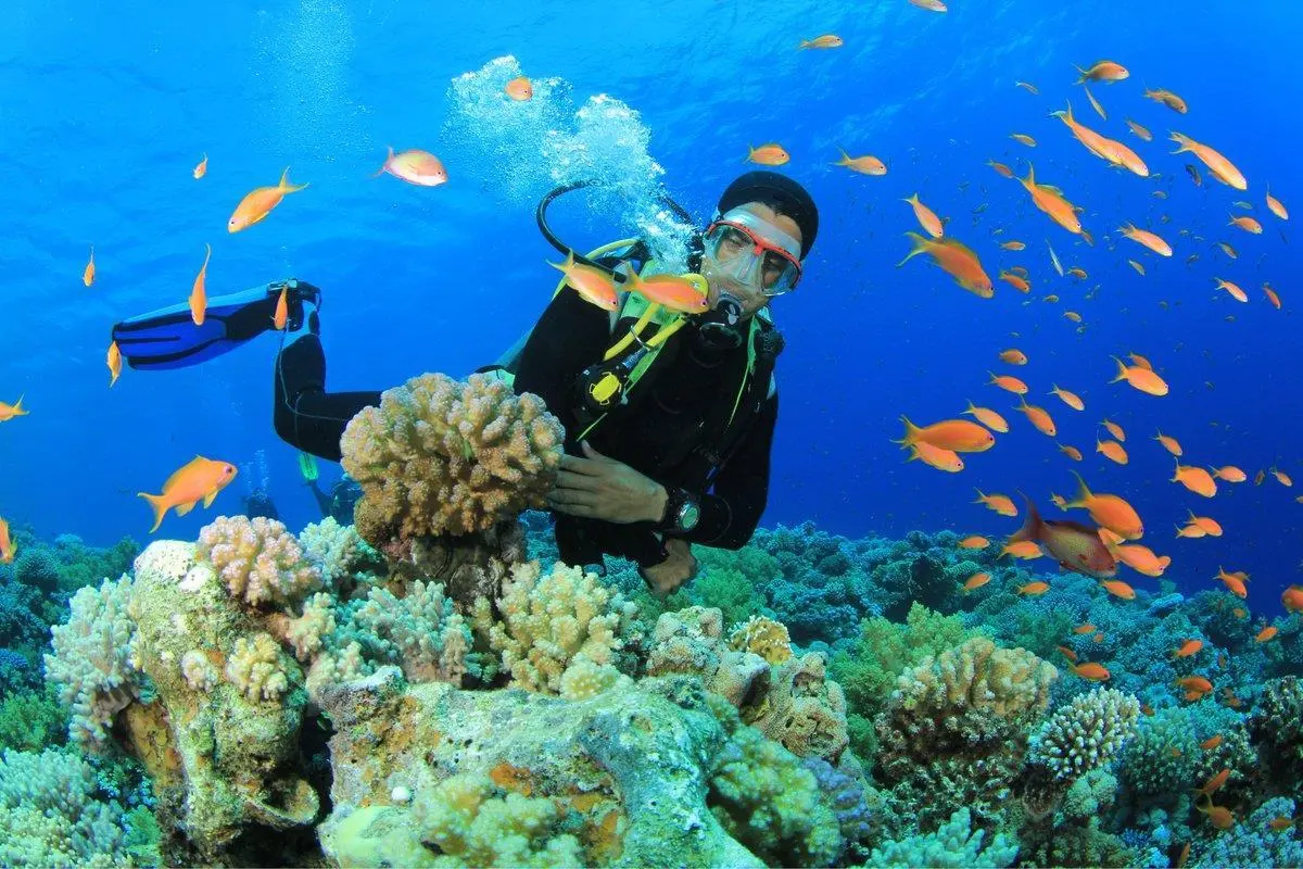 Những loại kính lặn ngắm san hô phổ biến nhất hiện nay