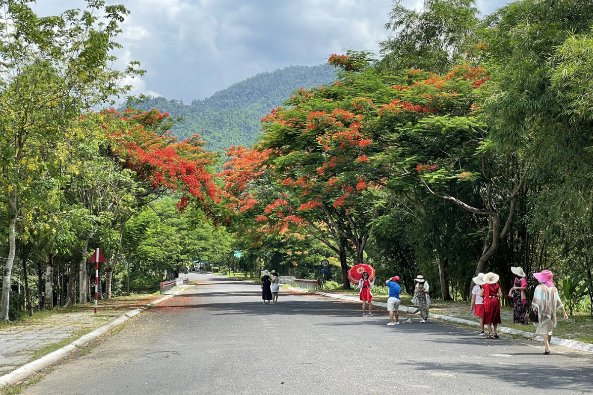 công viên du lịch Yang Bay