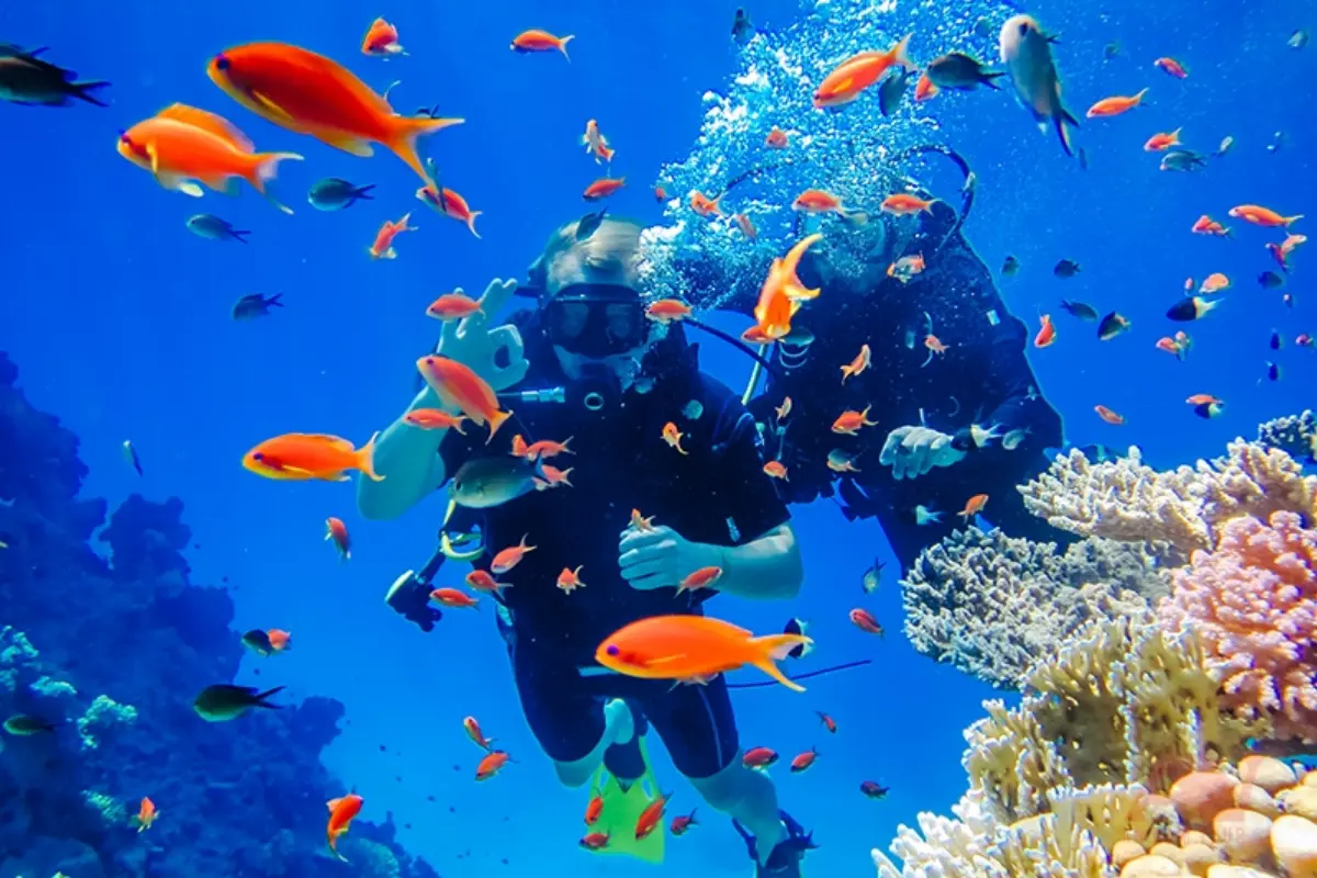 công ty du lịch Nha Trang