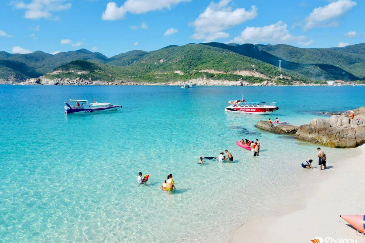 đi đảo bình hưng từ sài gòn 