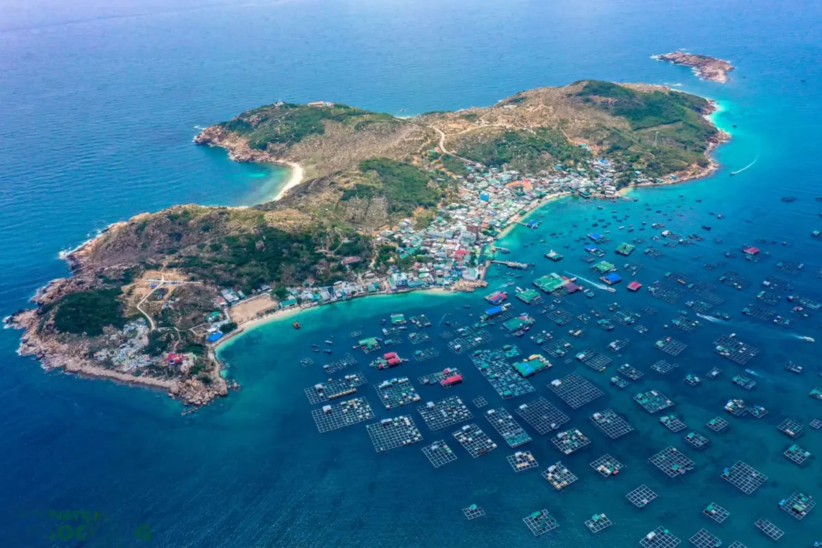 đi đảo bình hưng từ sài gòn